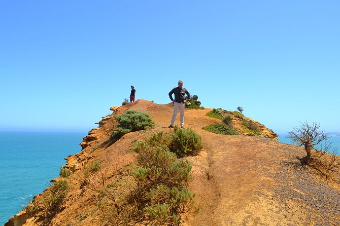 Great Ocean Road Discovery Tour - Common Questions