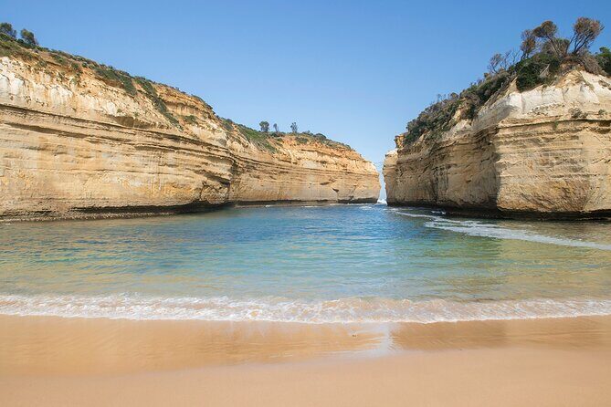 Great Ocean Road Explorer - 12 Apostilles Day Tour from Melbourne - Authentic Experiences and Real Traveler Insights