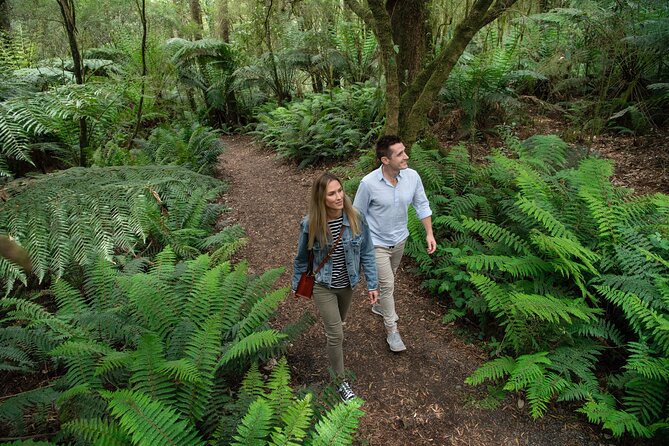Great Ocean Road Full Coastal Tour - 3 Days, 2 Nights - Accommodation Options for the Tour