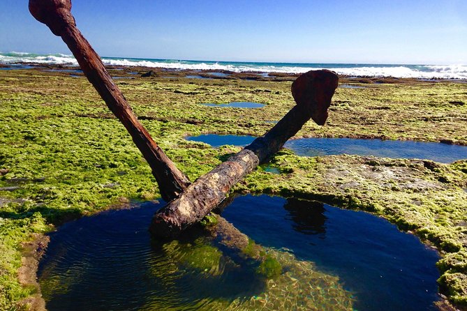 Great Ocean Road Full Coastal Tour - 3 Days, 2 Nights - The Sum Up