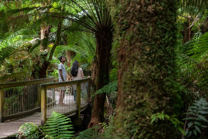 Great Ocean Road Grampians 3 Day National Park Tour Melbourne Roundtrip - Reviews and Pricing