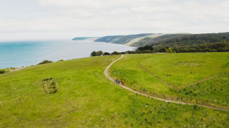 Great Ocean Road: Guided Wildlife Walk That Supports Nature - Tour Overview