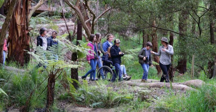 Great Ocean Road: Guided Wildlife Walk That Supports Nature - Wildlife Encounters