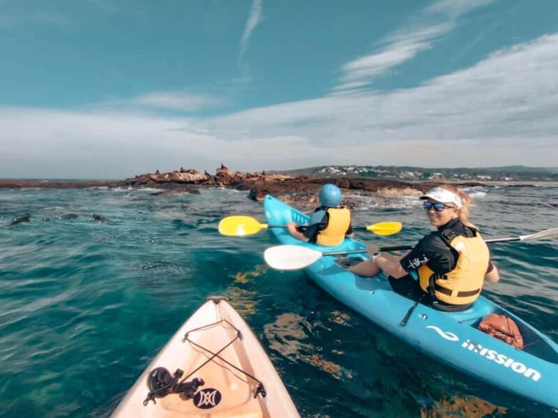Great Ocean Road: Kayaking with Seals Tour - The Itinerary: What to Expect