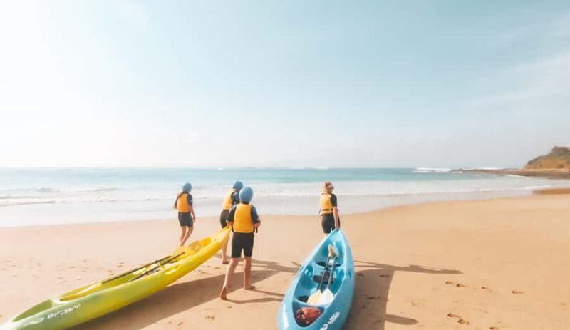 Great Ocean Road: Kayaking with Seals Tour - Final Thoughts