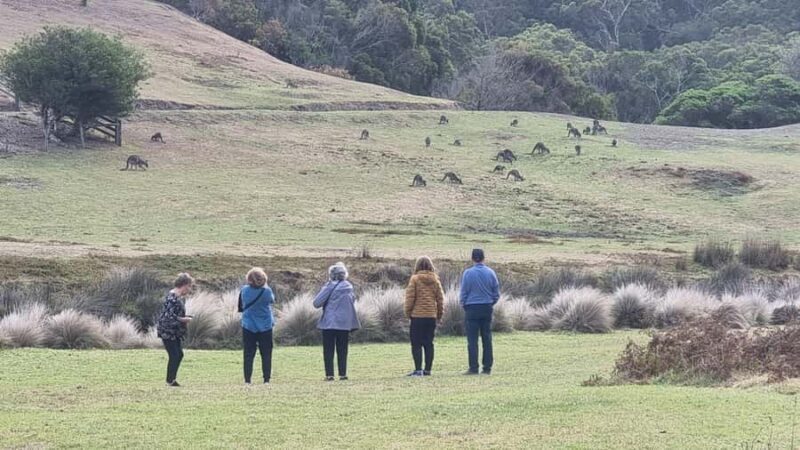 Great Ocean Road Lux Tour Max 11 Hotel Pickup - FAQ