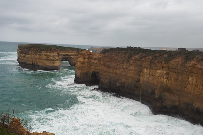 Great Ocean Road Private Day Tour - Wildlife Spotting Opportunities