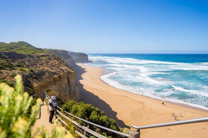 Great Ocean Road Reverse Itinerary Boutique Tour - Max 11 Guests - Who Should Book This Tour?