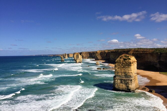 Great Ocean Road Reverse Itinerary ECO Tour (Max 22 People) - Cancellation Policy