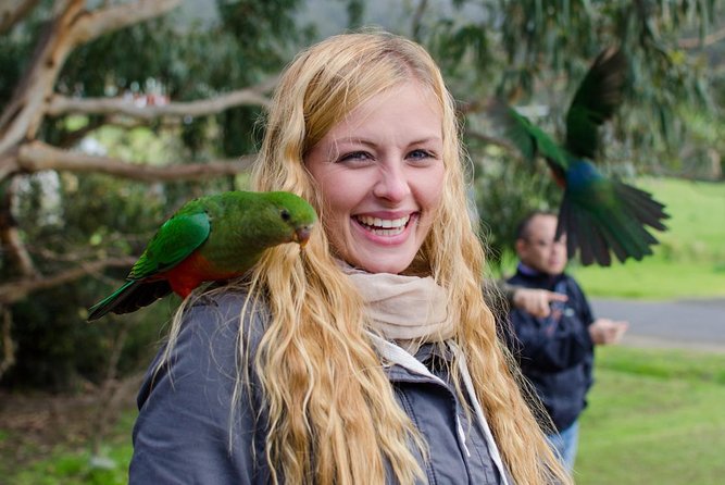 Great Ocean Road Reverse Itinerary With 12 Apostles From Melbourne - Reasons to Choose This Tour