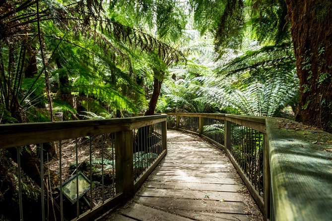 Great Ocean Road Reverse Itinerary With 12 Apostles From Melbourne - Reviews