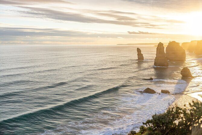 Great Ocean Road Reverse Tour with Iconic Stops & Wildlife - The Guide and Transportation Experience