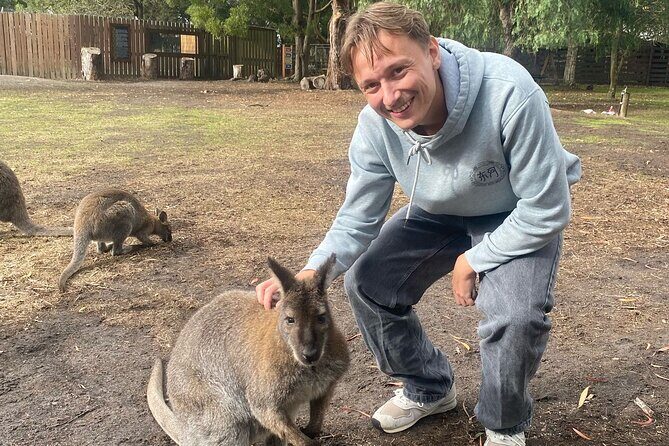Great Ocean Road Small Group Tour with Dingos, Sparkling & Lunch - FAQ