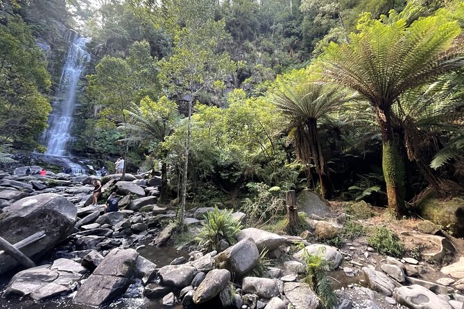 Great Ocean Road to Lorne Beaches & Waterfall Melbourne Day Tour - Tour Highlights