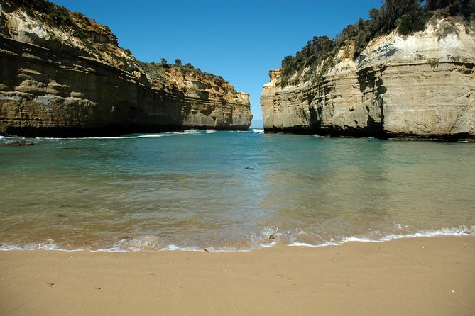 Great Ocean Road Tour Plus Koalas, Forest Walk And Morning Tea. - Inclusions and Meeting Details