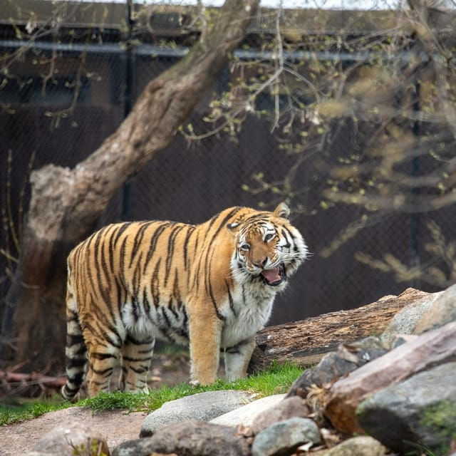 Great Plains Zoo - Plan Your Visit
