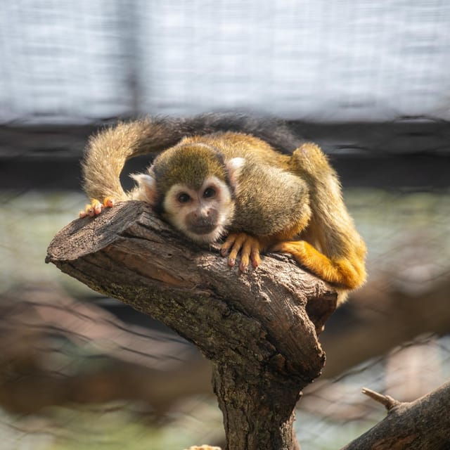 Great Plains Zoo - Preserve and Protect Wildlife