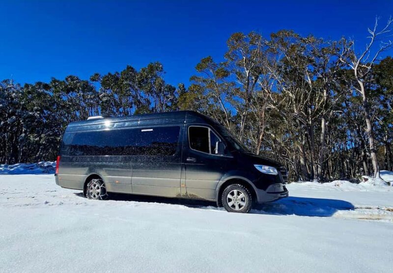 Great Private Tours Luxe Bus Lake Mountain Snow Play Tour - Deep Dive into the Itinerary