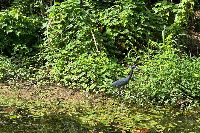 Great River Bamboo Rafting Adventure with Shopping - FAQs