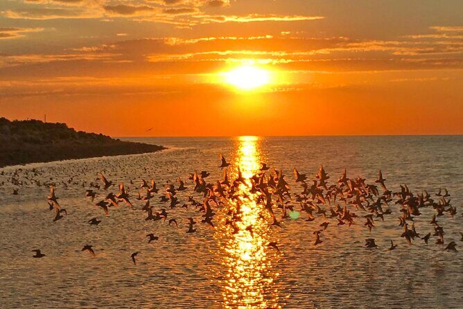Great Salt Lake Birding and Nature Adventure - Why This Tour Works for Different Travelers