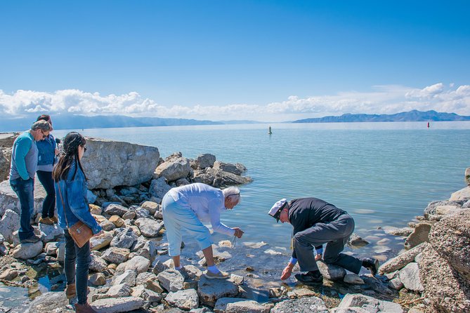 Great Salt Lake Guided Bus Tour From Salt Lake City - Pricing, Copyright, and Terms & Conditions