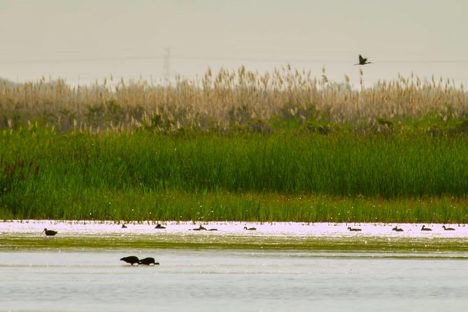 Great Salt Lake Guided Bus Tour From Salt Lake City - Directions