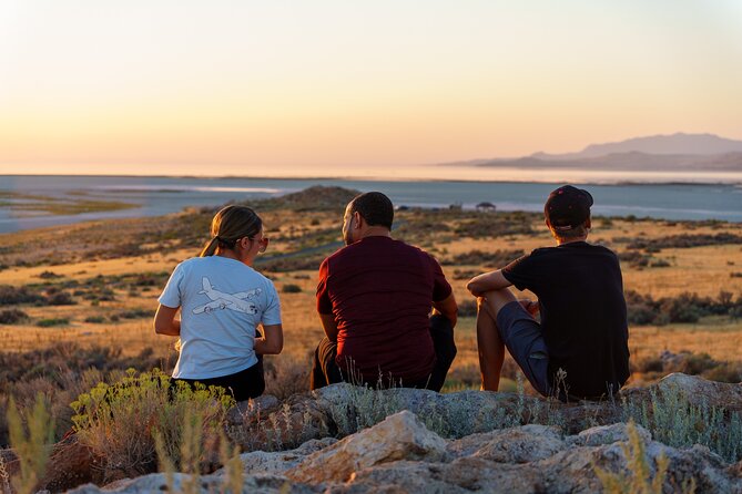 Great Salt Lake Wildlife and Sunset Experience - Participant Experiences and Feedback