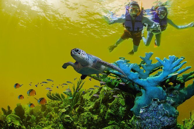 Great Saving: Sian Kaan Tour-expedition - Introduction to the Sian Kaan Biosphere Tour