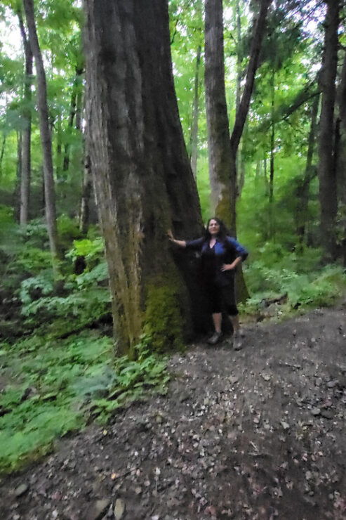 Great Smoky Mountains: Hiking Tours and Waterfall Walks - Experience and Highlights