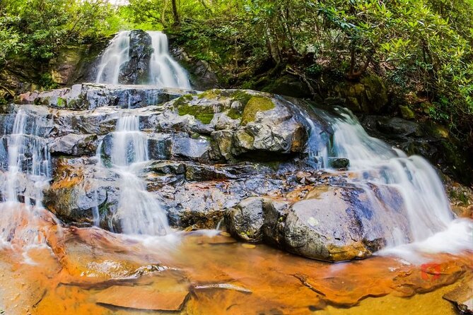 Great Smoky Mountains National Park: Audio Driving Tour - Additional Information and Tips