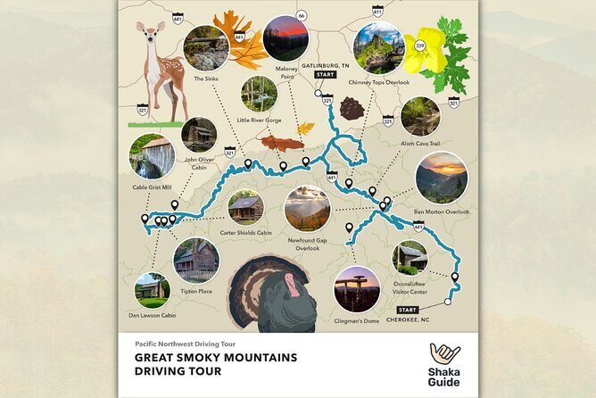 Great Smoky Mountains National Park Self-Guided Audio Tour - The Itinerary Breakdown: What to Expect at Each Stop