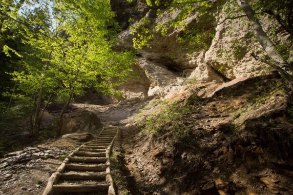 Great Smoky & Shenandoah National Park Driving Audio Tour - Directions