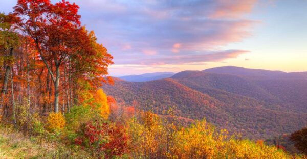 Great Smoky & Shenandoah National Park Driving Audio Tour - The Sum Up