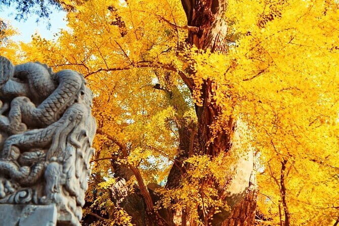 Great Wall of China at Mutianyu Full-Day Private Tour Including Lunch - Final Thoughts