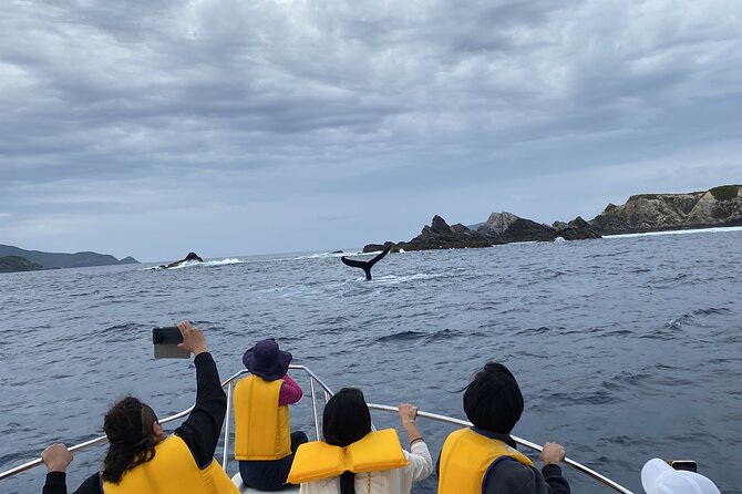 Great Whale Watching at Kerama Islands and Zamami Island - Protecting Marine Life During Whale Watching