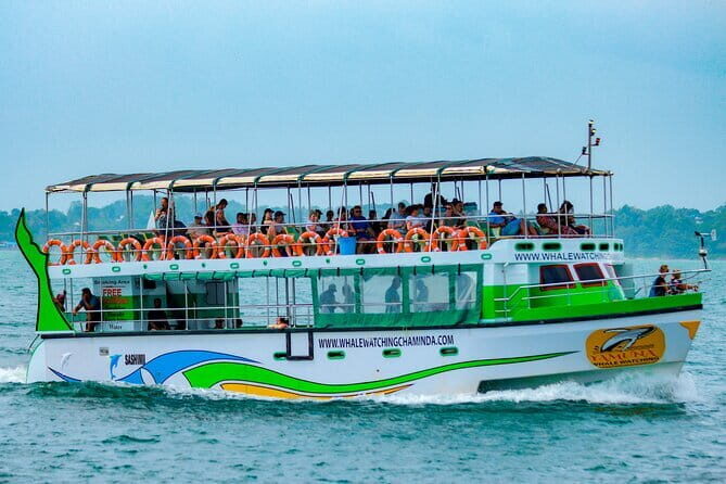 Great Whales Education Programe Dolphins and Whales are in SL - Who Would Benefit Most?