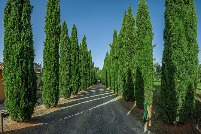 Great Wine Tasting at Tenuta Moriano - Location and Setting