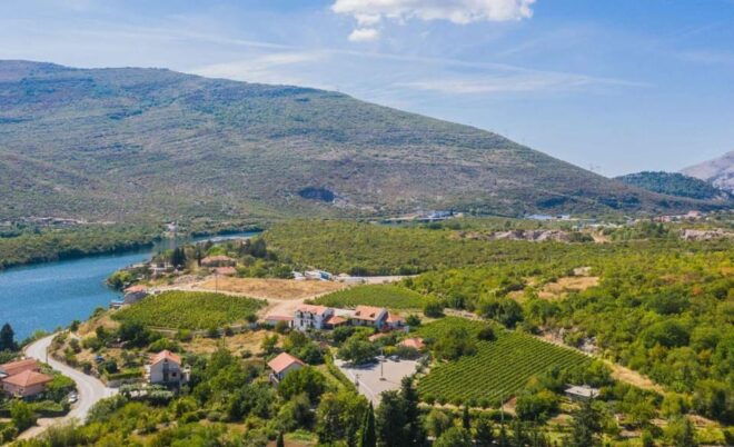 Great Winery Tour From Montenegro: 3 Countries in One Day - Wine and Culinary Experience