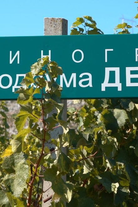 Great Winery Tour From Montenegro: 3 Countries in One Day - Transportation and Group Details