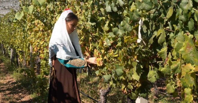 Great Winery Tour From Montenegro: 3 Countries in One Day - Important Information for Participants