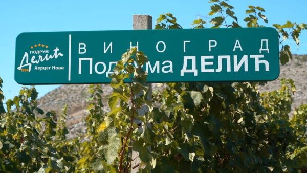 Great Winery Tour From Montenegro: 3 Countries in One Day - Intimate and Exclusive Tour Experience