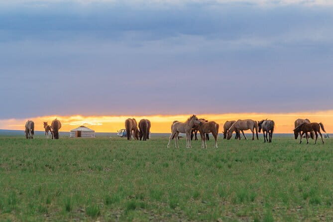 Greate White Lake and Gobi desert - Good To Know