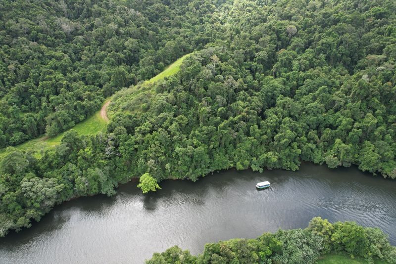 Greater Daintree Wildlife Cruise - Key points before you book