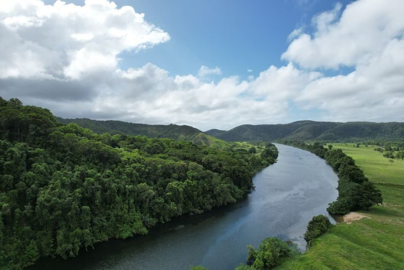 Greater Daintree Wildlife Cruise - A slow river, a sharp lookout