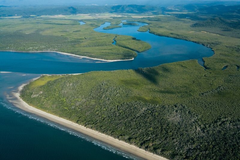 Greater Daintree Wildlife Cruise - What happens during the one-hour trip