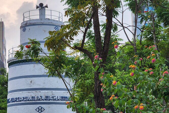 Greater Male Explorer - Private City Tour by Car or by Walking - Who Should Consider This Tour?