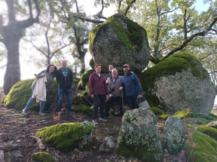 Gredos: Guided Hike in the Vettón Forest - Activity Overview