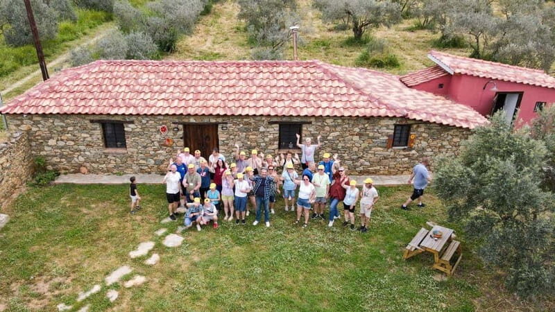Greece in a Drop: Olive Grove Walk and Olive Oil Tasting - Authentic Insights from Past Guests
