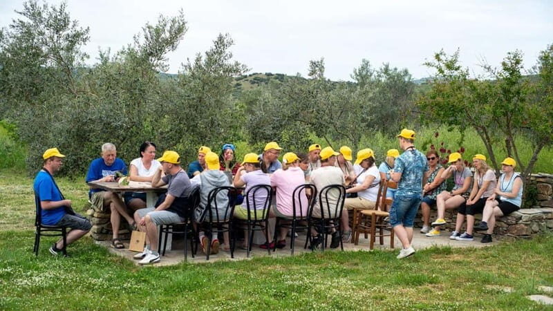 Greece in a Drop: Olive Grove Walk and Olive Oil Tasting - Who Will Love This Tour?