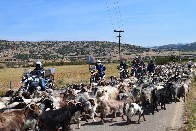 Greece Motorcycle Tour - Common Questions